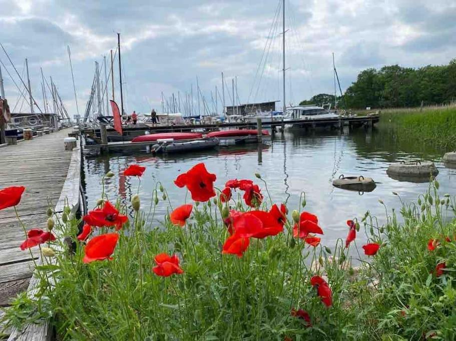 Ferienhaus Mit Wasserblick Auf Der Insel Usedom Krummin ภายนอก รูปภาพ